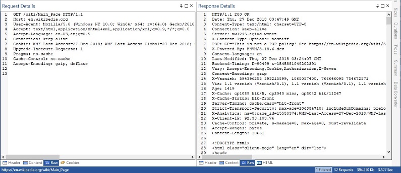 Raw Data in Network Packet Analyzer