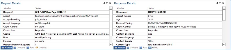 Network Protocol Analyzer displaying HTTP Headers